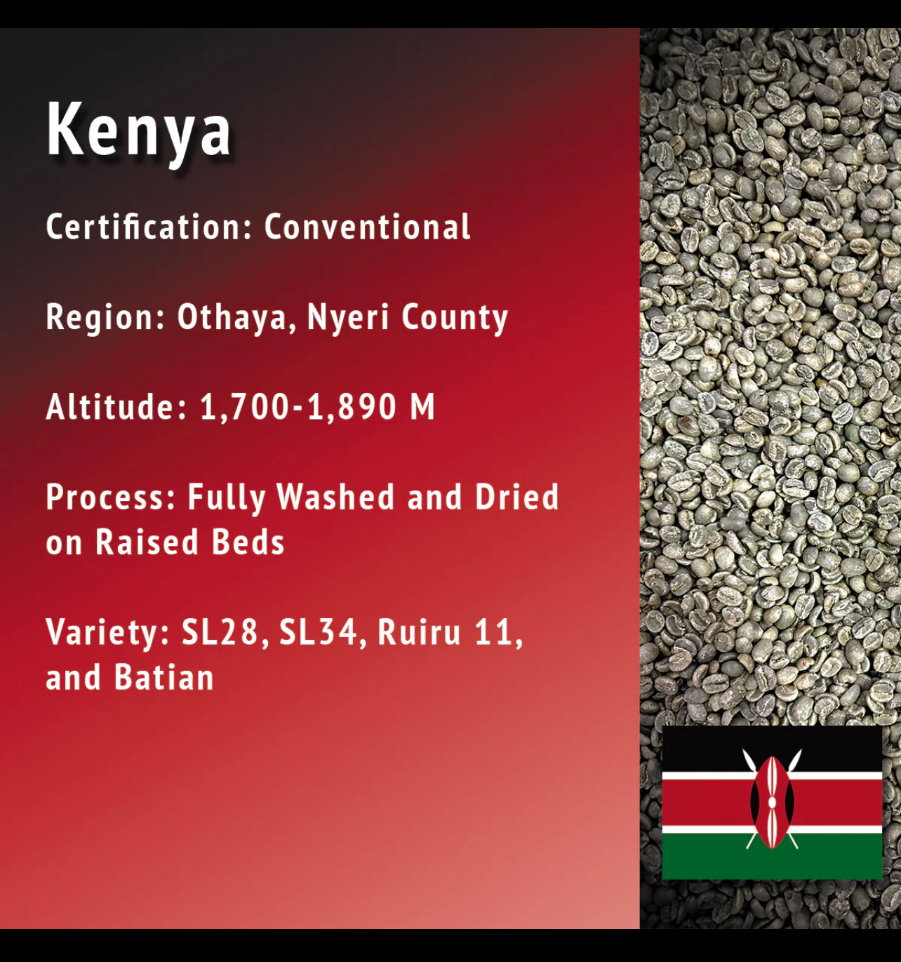 Kenya🇰🇪☕️