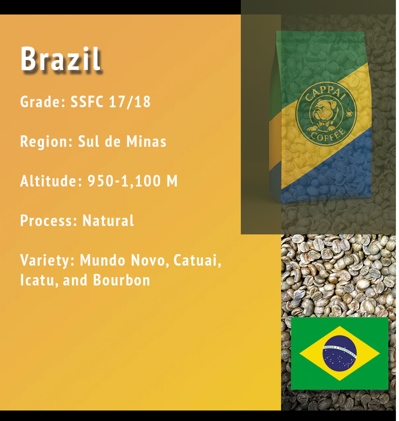 Brazil Santos π§π·βοΈ