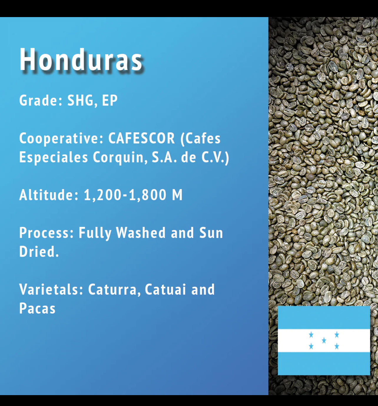 Honduras 🇭🇳☕️