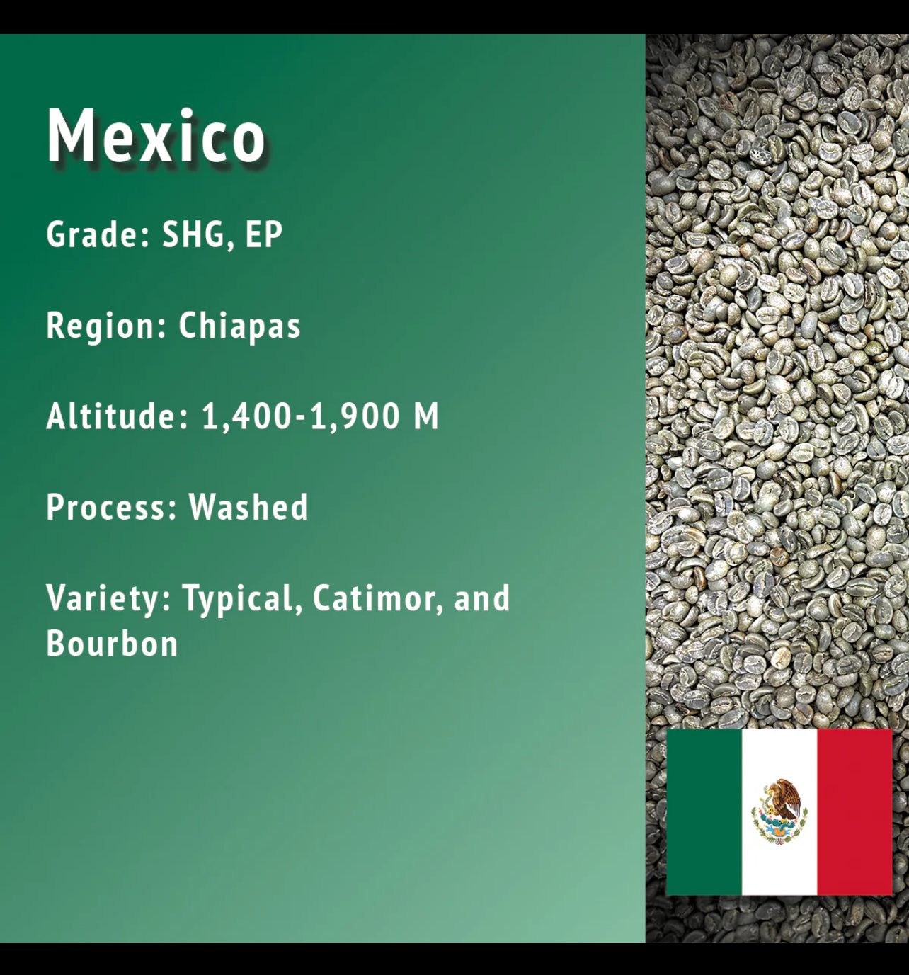 Mexico🇲🇽☕️
