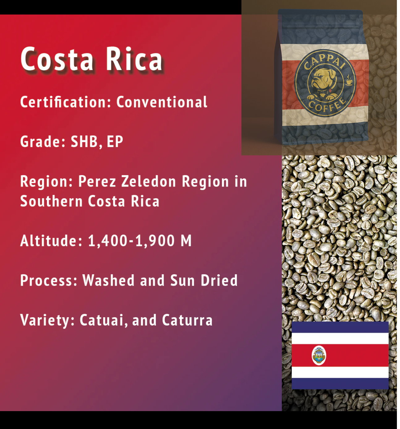 Costa Rica 🇨🇷☕️